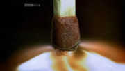 кадр из фильма Химия. Изменчивая История (BBC: Chemistry. A Volatile History) - 3