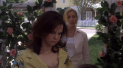 кадр из фильма Отчаянные домохозяйки (Desperate Housewives) - 15