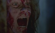 кадр из фильма Феномен (Phenomena) - 1