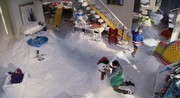кадр из фильма Пингвины мистера Поппера (Mr. Popper's Penguins) - 12