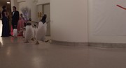 кадр из фильма Пингвины мистера Поппера (Mr. Popper's Penguins) - 14