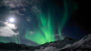 кадр из фильма Дикая природа Скандинавии (Wildes Skandinavien) - 2