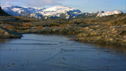 кадр из фильма Дикая природа Скандинавии (Wildes Skandinavien) - 10