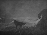 кадр из фильма Нечто (The Thing from Another World) - 6