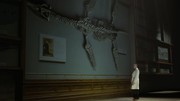 кадр из фильма Морские динозавры 3D: Путешествие в доисторический мир (Sea Rex 3D: Journey to a Prehistoric World) - 9