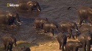 кадр из фильма Замбези (Zambezi) - 6