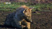 кадр из фильма Замбези (Zambezi) - 7