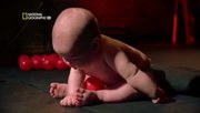 кадр из фильма Наука о малышах (Science of babies) - 8
