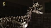 кадр из фильма Доисторические хищники (Prehistoric Predators) - 5