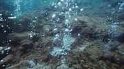 кадр из фильма На глубине морской (Under the Sea) - 2