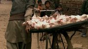 кадр из фильма История Индии/ BBC: Индия с Майклом Вудом (The Story of India) - 6