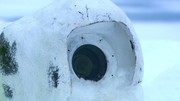кадр из фильма Белый медведь - Шпион во льдах (Polar Bear - Spy on the Ice) - 4