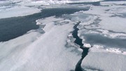 кадр из фильма Белый медведь - Шпион во льдах (Polar Bear - Spy on the Ice) - 6