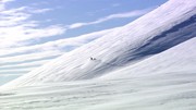кадр из фильма Белый медведь - Шпион во льдах (Polar Bear - Spy on the Ice) - 7
