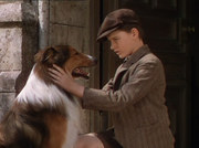 кадр из фильма Лесси возвращается домой (Lassie Come Home) - 1