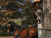 кадр из фильма Лесси возвращается домой (Lassie Come Home) - 7