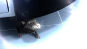 кадр из фильма История одной крысы (One Rat Short) - 1