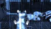 кадр из фильма История одной крысы (One Rat Short) - 2