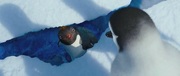 кадр из фильма Делай ноги 2 (Happy Feet Two) - 2