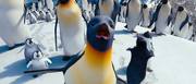 кадр из фильма Делай ноги 2 (Happy Feet Two) - 11