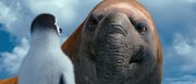 кадр из фильма Делай ноги 2 (Happy Feet Two) - 15