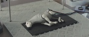 кадр из фильма Ева: Искусственный разум (Eva) - 1