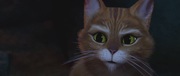 кадр из фильма Кот в сапогах (Puss in Boots) - 19