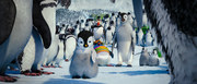 кадр из фильма Делай ноги 2 (Happy Feet Two) - 19