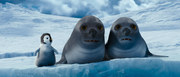 кадр из фильма Делай ноги 2 (Happy Feet Two) - 22