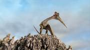 кадр из фильма Крылатые монстры (Flying Monsters 3D with David Attenborough) - 1
