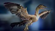 кадр из фильма Крылатые монстры (Flying Monsters 3D with David Attenborough) - 8
