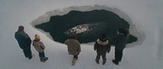 кадр из фильма Все любят китов (Big Miracle) - 1