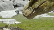 кадр из фильма Тарбозавр 3D (Jeombaki: Hanbandoeui Gongryong 3D) - 5