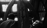 кадр из фильма Взлетная полоса (La jetée) - 7