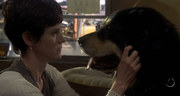 кадр из фильма Лучший друг человека (Man's Best Friend) - 5