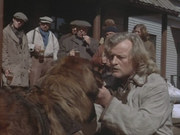 кадр из фильма Зов предков (The Call of the Wild: Dog of the Yukon) - 5