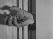 кадр из фильма Андалузский пес (Un chien andalou) - 4