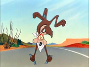 кадр из фильма Койот Вилли и Дорожный Бегун (Road Runner & Wile E. Coyote) - 3