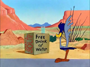 кадр из фильма Койот Вилли и Дорожный Бегун (Road Runner & Wile E. Coyote) - 7