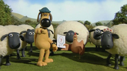 кадр из фильма Барашек Шон (Shaun The Sheep) - 5