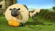 кадр из фильма Барашек Шон (Shaun The Sheep) - 11
