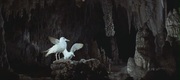 кадр из фильма Чайка по имени Джонатан Ливингстон (Jonathan Livingston Seagull) - 4