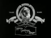 кадр из фильма Девушки Зигфилда (Ziegfeld Girl) - 1