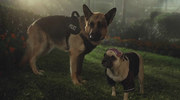 кадр из фильма Крошка из Беверли-Хиллз 3 (Beverly Hills Chihuahua 3: Viva La Fiesta!) - 5