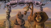 кадр из фильма Мадагаскар 2 (Madagascar - Escape 2 Africa) - 9