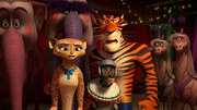 кадр из фильма Мадагаскар 3 (Madagascar 3: Europe's Most Wanted) - 9
