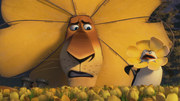 кадр из фильма Мадагаскар 3 (Madagascar 3: Europe's Most Wanted) - 15