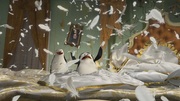 кадр из фильма Мадагаскар 3 (Madagascar 3: Europe's Most Wanted) - 16