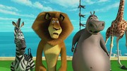 кадр из фильма Мадагаскар 3 (Madagascar 3: Europe's Most Wanted) - 21