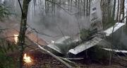 кадр из фильма Затерянные в лесах - 3